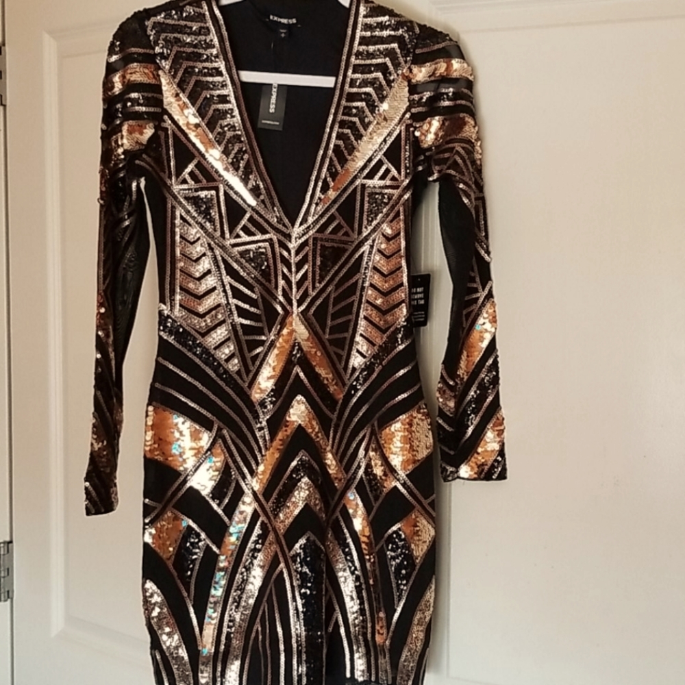 Express Sequin Dress, long sleeve, V Neck